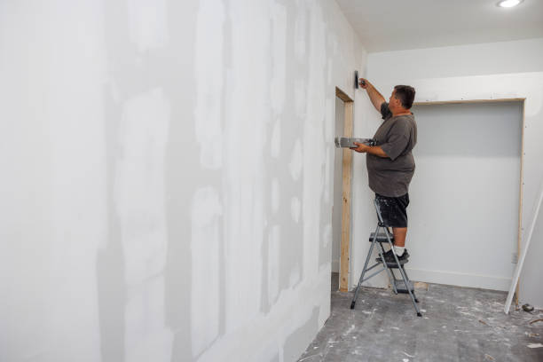 Best Post-Construction Mold Inspection  in Sound Beach, NY