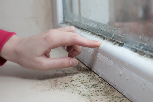 Best Biohazard Mold Removal  in Sound Beach, NY