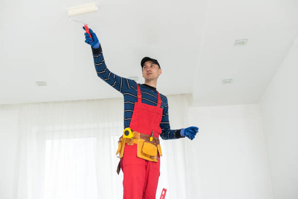 Best Attic Mold Removal  in Sound Beach, NY
