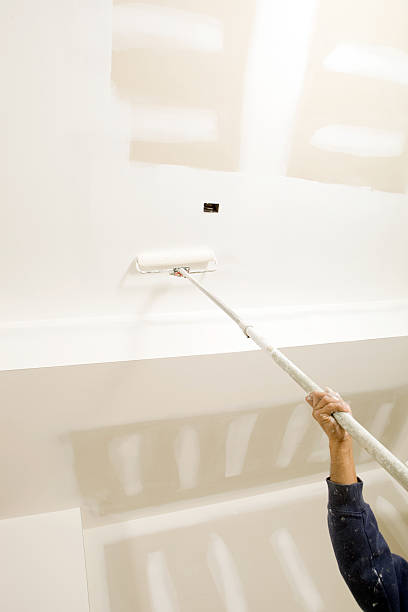 Best Mold Odor Removal Services  in Sound Beach, NY