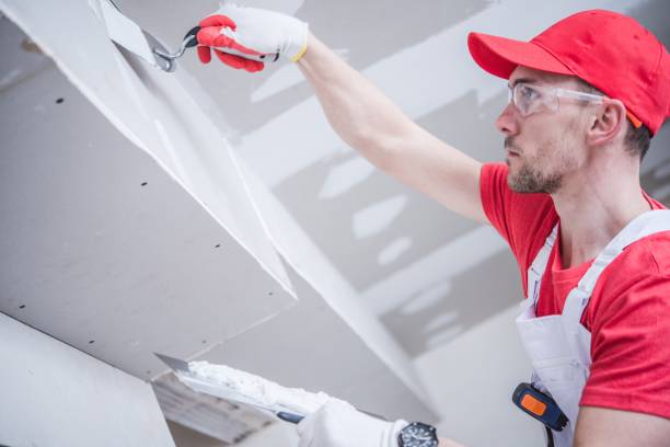 Best Basement Mold Removal  in Sound Beach, NY
